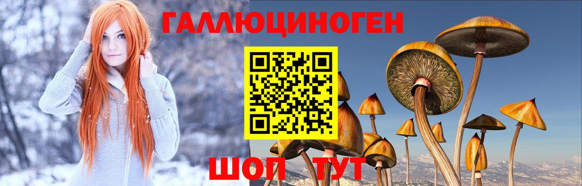 Галлюциногенные грибы Cubensis  Галлюциногенные грибы прущие грибы  Батайск  Вход с VPN 
